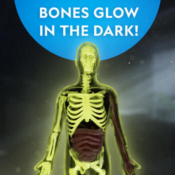 NATIONAL GEOGRAPHIC komplekts Glow in the Dark Human Body, RTHUMBODY