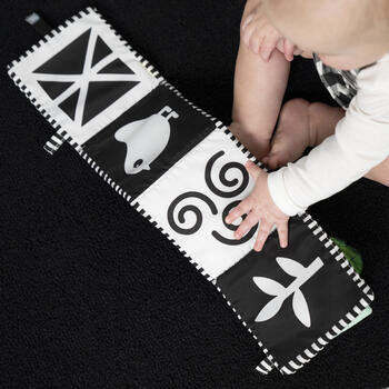BABY EINSTEIN mīkstā aktivitāšu grāmatiņa, 17303