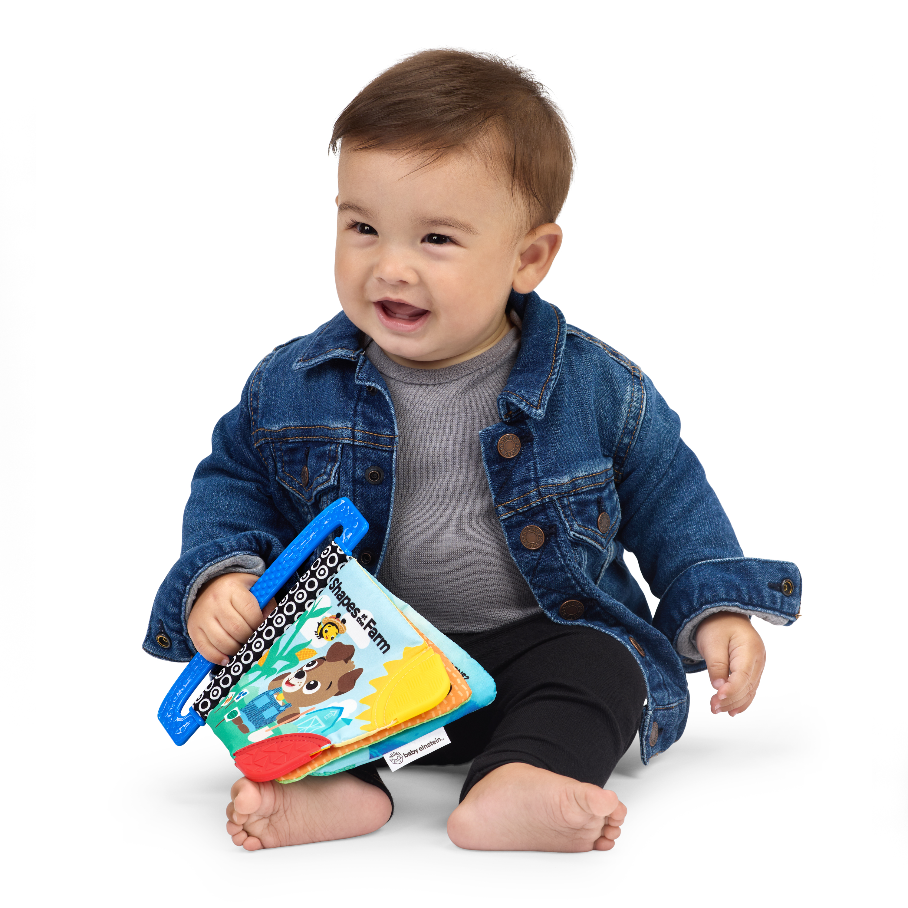 BABY EINSTEIN graužamā grāmatiņa, 17614