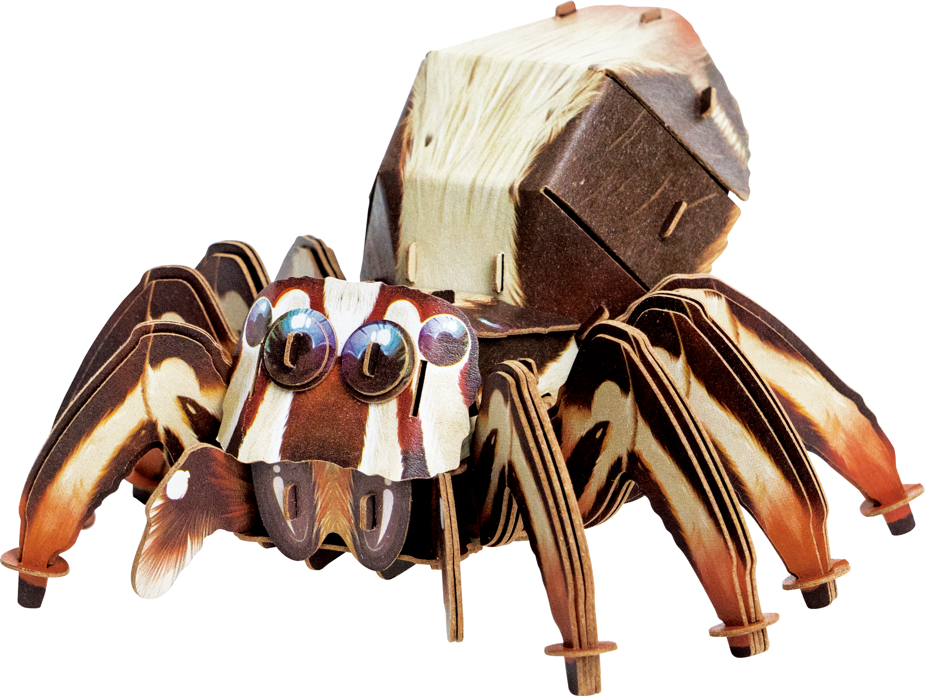 MAKEBUG 3D papīra puzle Lēcošais zirneklis, MB-D-0054