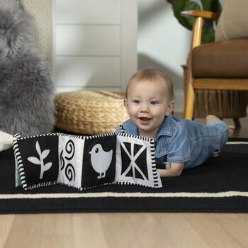 BABY EINSTEIN mīkstā aktivitāšu grāmatiņa, 17303