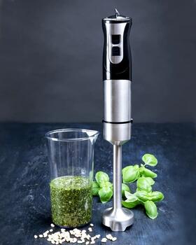 Gastronoma rokas blenderis, 1000W (18210001)