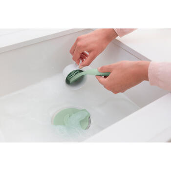 BRABANTIA trauku suka ar turētāju, Jade Green (215780)