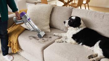 Shark PowerDetect Cordless Pet, bezvadu putekļu sūcējs, 380W, pelēka/lillā (IP1251EUT)