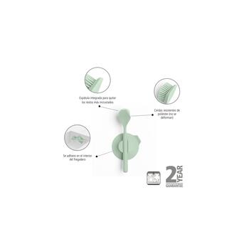 BRABANTIA trauku suka ar turētāju, Jade Green (215780)