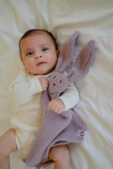 Lodger Bunny Teddy mīksta flīsa mīļlupatiņa zaķītis, Rose (TY 107)