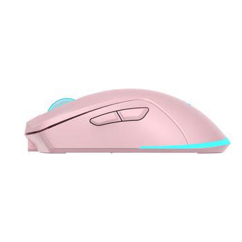 Baracuda BGM-124 Turtle Pink