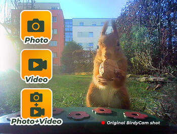 Easypix BirdyCam