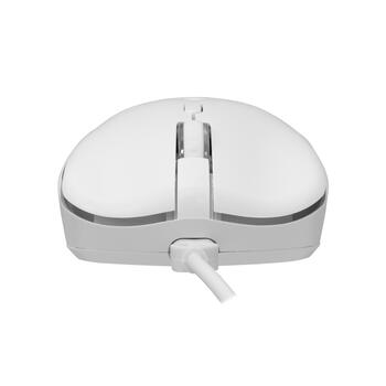 Baracuda ORCA-W BGC-012, White Combo