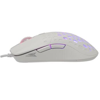 Baracuda OCTOPUS BGM-022, White