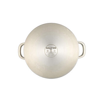 Salter BW13905 Timeless 24 cm Stockpot
