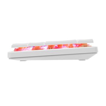 White Shark GK-006211 Nagamaki White-Mechanical-Red.SW