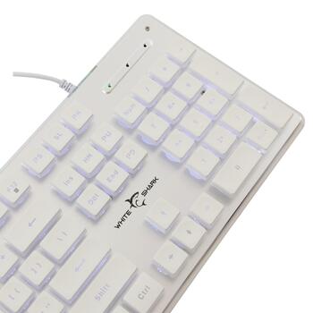 White Shark GK-003241 Tachi White US