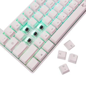 White Shark GK-004231 Shinobi 2 Brown Switch, White US