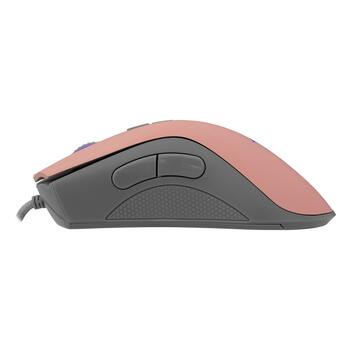 Baracuda LOBSTER BGM-084 Pink