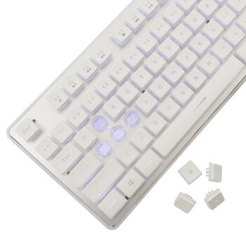 White Shark GK-003241 Tachi White US