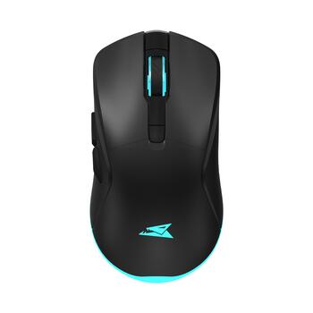 Baracuda TURTLE-B BGM-121, Black