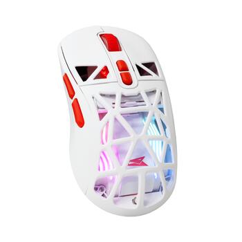 Baracuda SEAL-W BGM-092, White