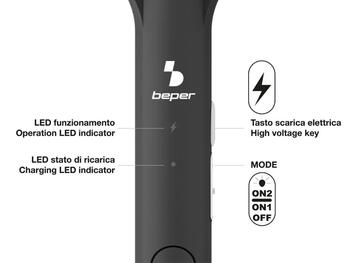 Beper P206ZAN250