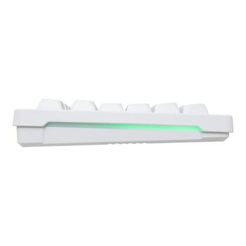 Baracuda ORCA-W BGC-012, White Combo