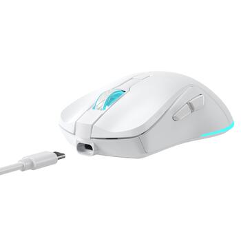 Baracuda TURTLE-W BGM-122, White