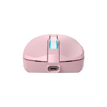 Baracuda BGM-124 Turtle Pink