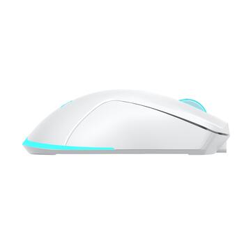 Baracuda TURTLE-W BGM-122, White