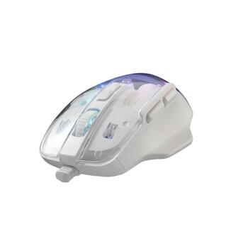 Baracuda ANGLERFISH-W BGM-062, White