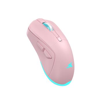 Baracuda BGM-124 Turtle Pink
