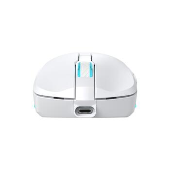 Baracuda TURTLE-W BGM-122, White