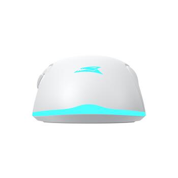 Baracuda TURTLE-W BGM-122, White