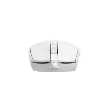 Baracuda BGM-112 Crab White