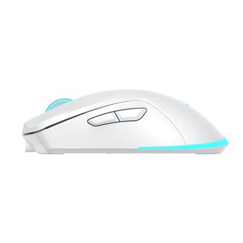 Baracuda TURTLE-W BGM-122, White