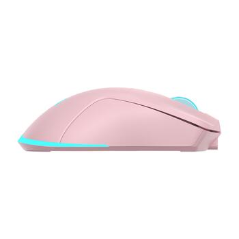 Baracuda BGM-124 Turtle Pink