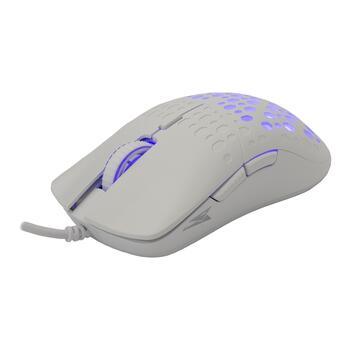 Baracuda OCTOPUS BGM-022, White