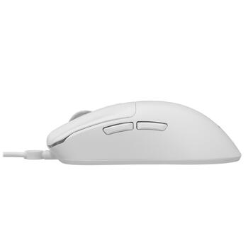 Baracuda ORCA-W BGC-012, White Combo