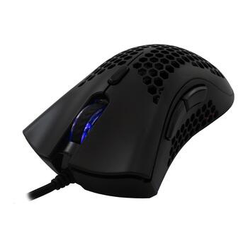 Baracuda CORAL-B BGM-031,l Black