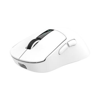 White Shark GAWAIN-W 500mAh/12000DPI/56g, White