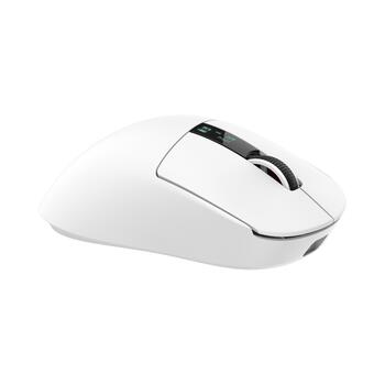 White Shark GAWAIN-W 500mAh/12000DPI/56g, White