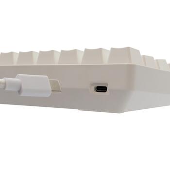 White Shark GK-004231 Shinobi 2 Brown Switch, White US