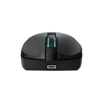 Baracuda TURTLE-B BGM-121, Black