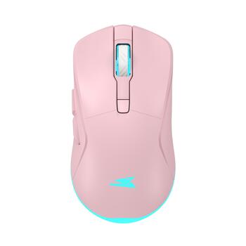 Baracuda BGM-124 Turtle Pink