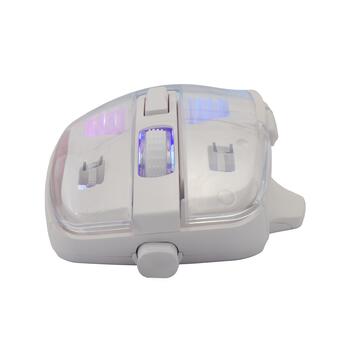 Baracuda ANGLERFISH-W BGM-062, White