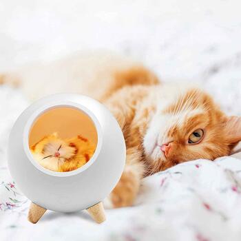 Tellur Cat Night Light