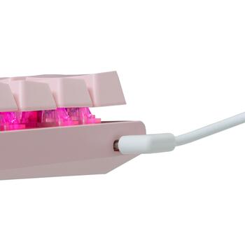 White Shark WAKIZASHI 2  GK-002421V2  Pink US-Blue.SW