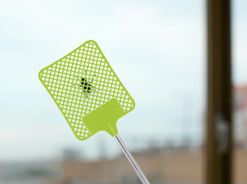 Beper C206UTI020 Telescopic Fly Swatter Paddle