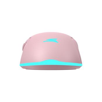 Baracuda BGM-124 Turtle Pink