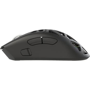 White Shark MORIEN WGM-5025 MORIEN-B, игровая мышь, 6 кнопок, 6200-12000 DPI, 1000 Гц, BT/2.4 ГГц/провод, 400 мАч, RGB, 67 г (MORIEN-B)