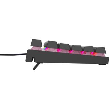 Genesis Thor 303 TKL клавиатура NKG-1881, USB, QWERTY US, механическая, Outemu Peach Silent, RGB, черная (NKG-1881)