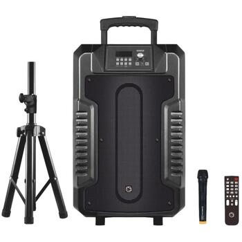 Manta Беспроводная колонка SPK1203B100, 100 W, Bluetooth 5.0, AUX, Гитара, Микрофон, Micro SD, USB, 8 ч работы от аккумулятора (SPK1203B100)